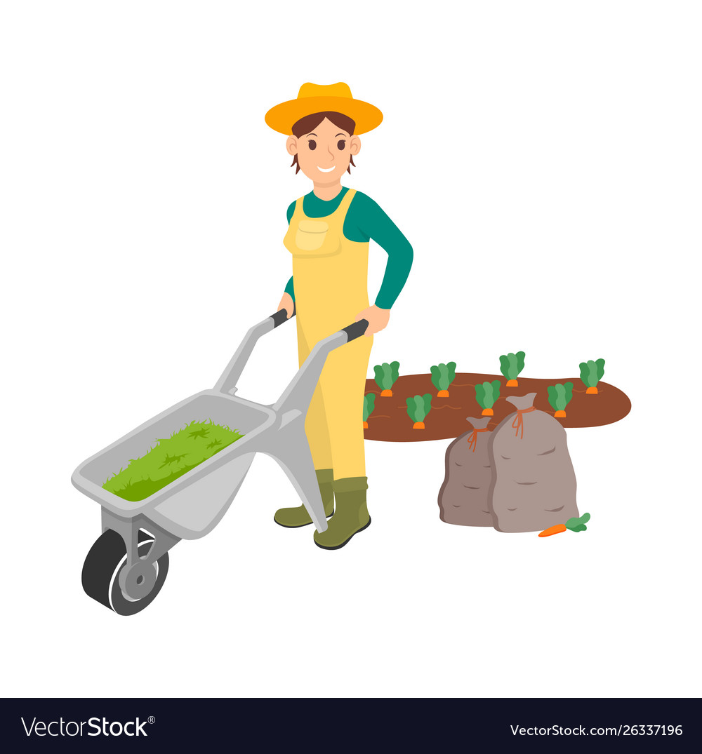 Woman working on plantation person with carriage Vector Image