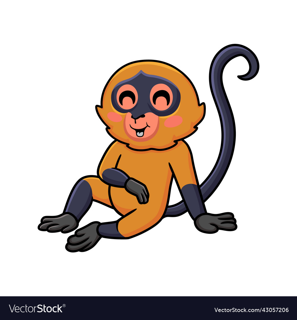 Spider Monkey Clipart