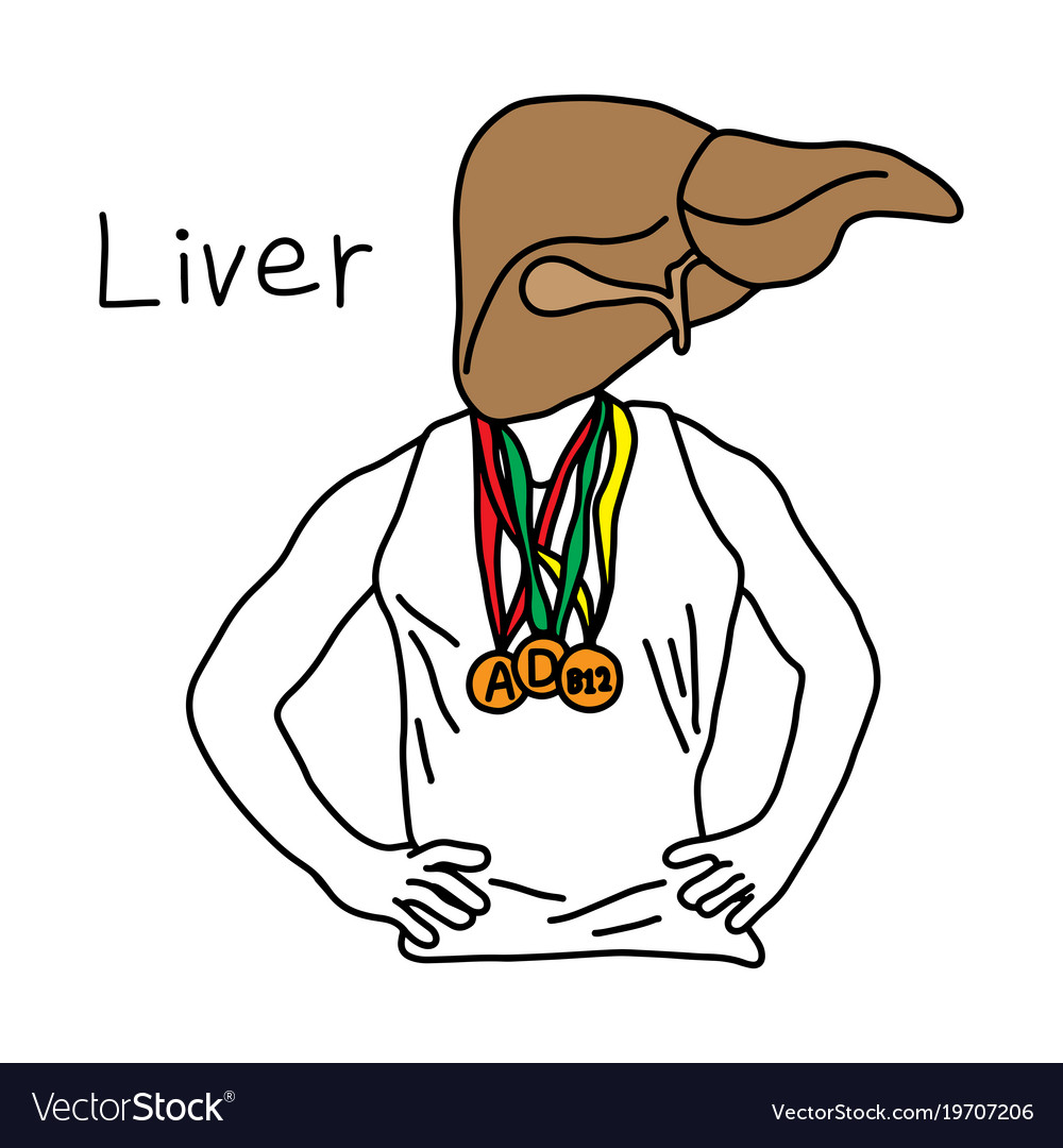 Metaphor function of liver to store