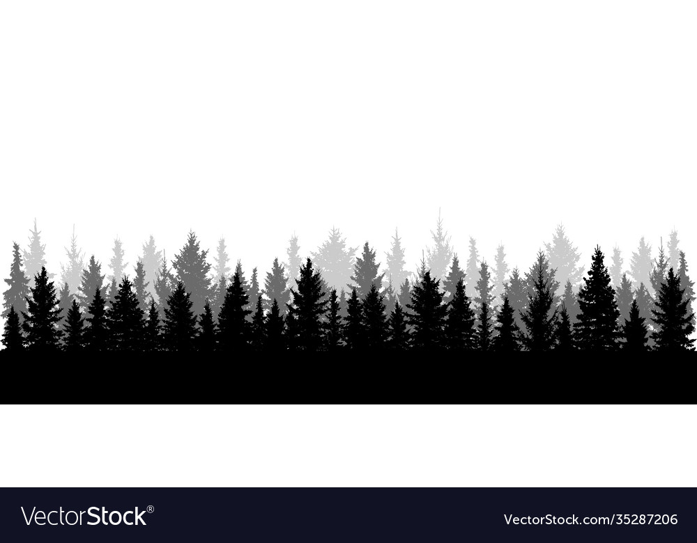 Panorama beautiful forest silhouette Royalty Free Vector