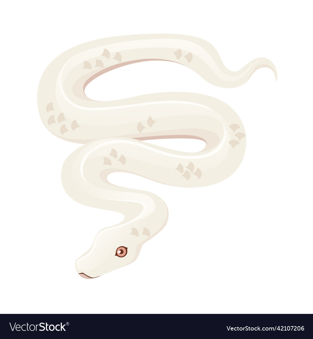 White albino snake cartoon animal design flat