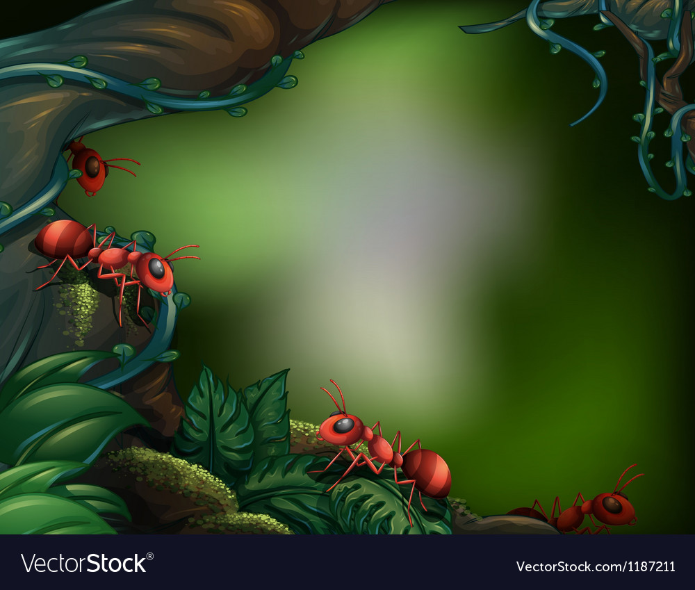 ants at the rain forest animated rain forest