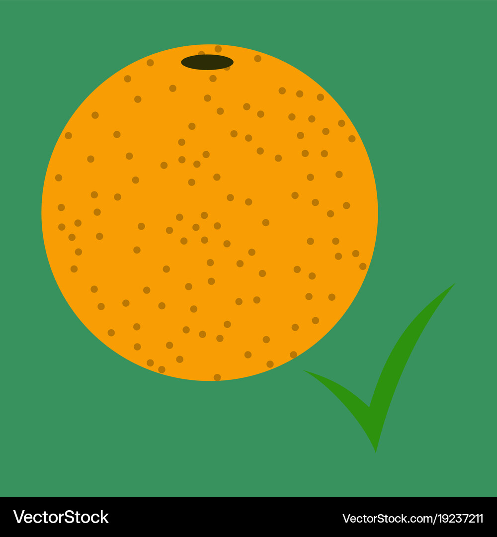 Flat orange whole of orange Royalty Free Vector Image