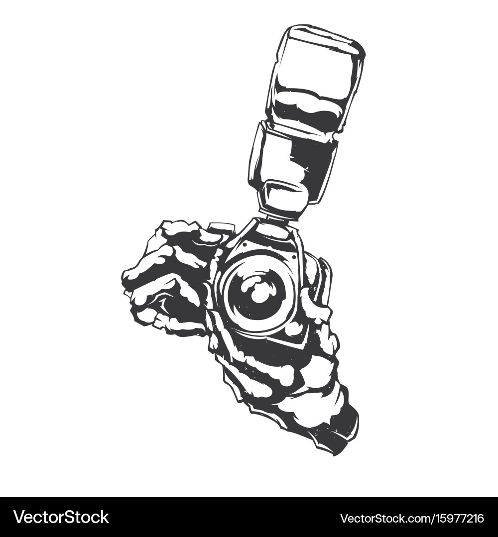 Isolate Vector Isolated Royalty Free Vector Image - VectorStock