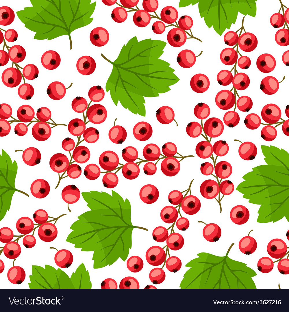Red Currant Pattern - Fresh Berry