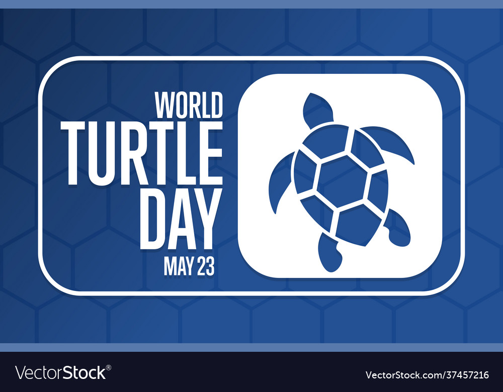 World turtle day may 23 holiday concept Royalty Free Vector