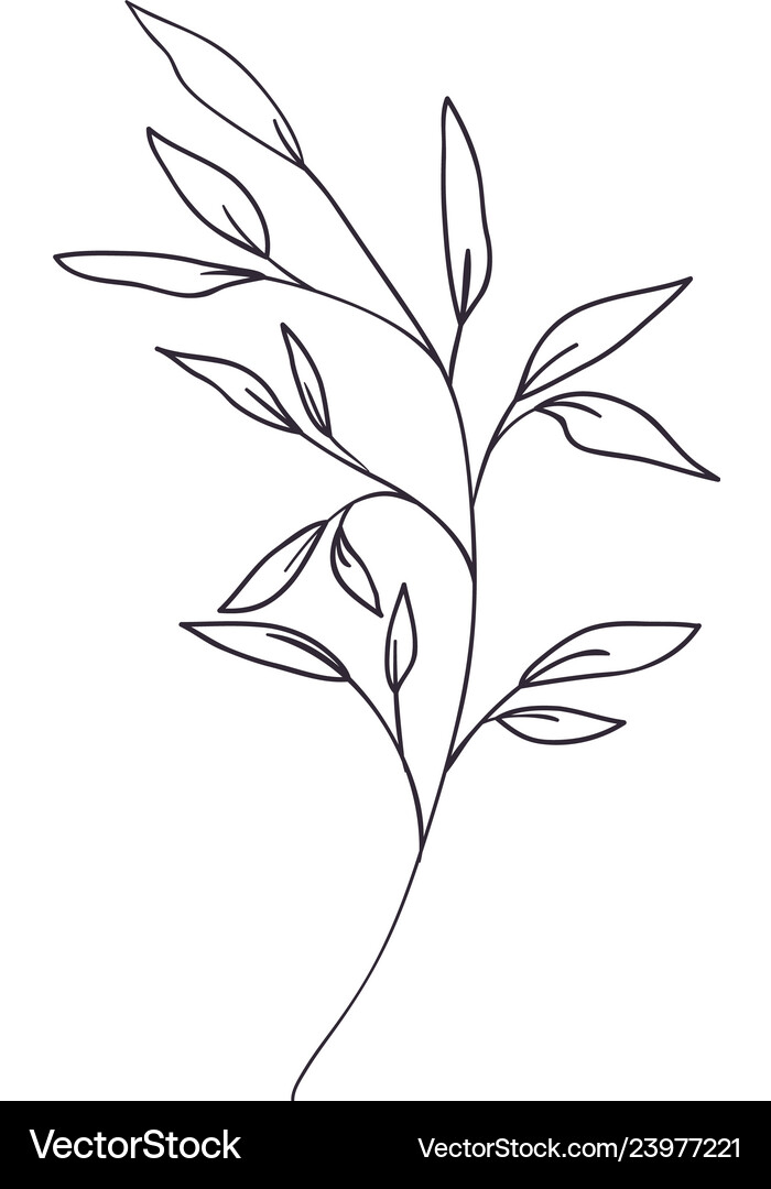 Branch with leaf isolated icon Royalty Free Vector Image