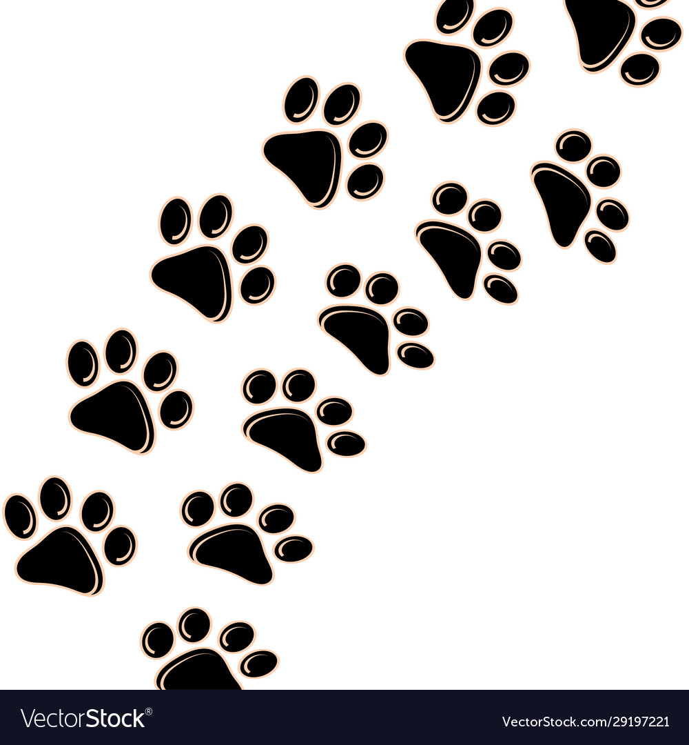 Dog or cat footprint icon on a white background