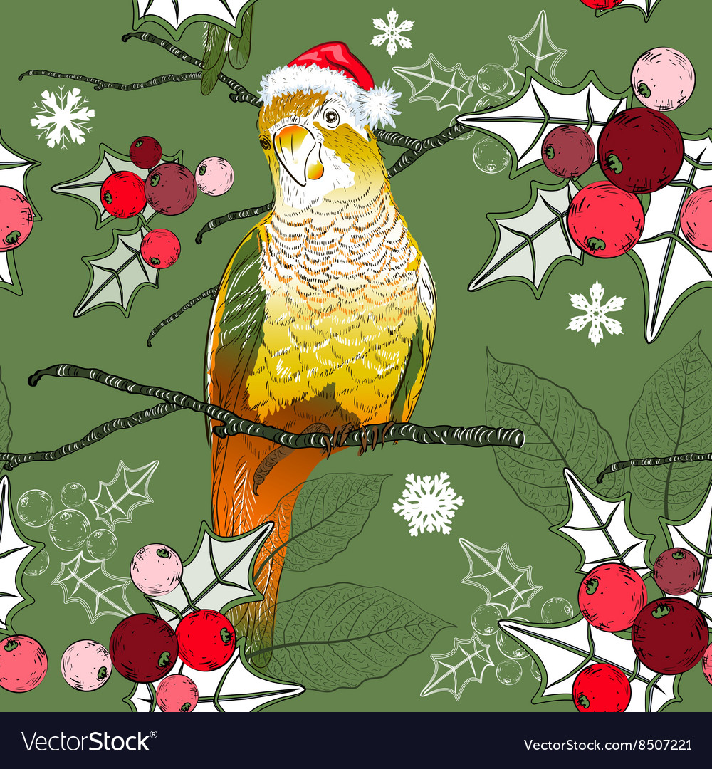 Festive parrot background