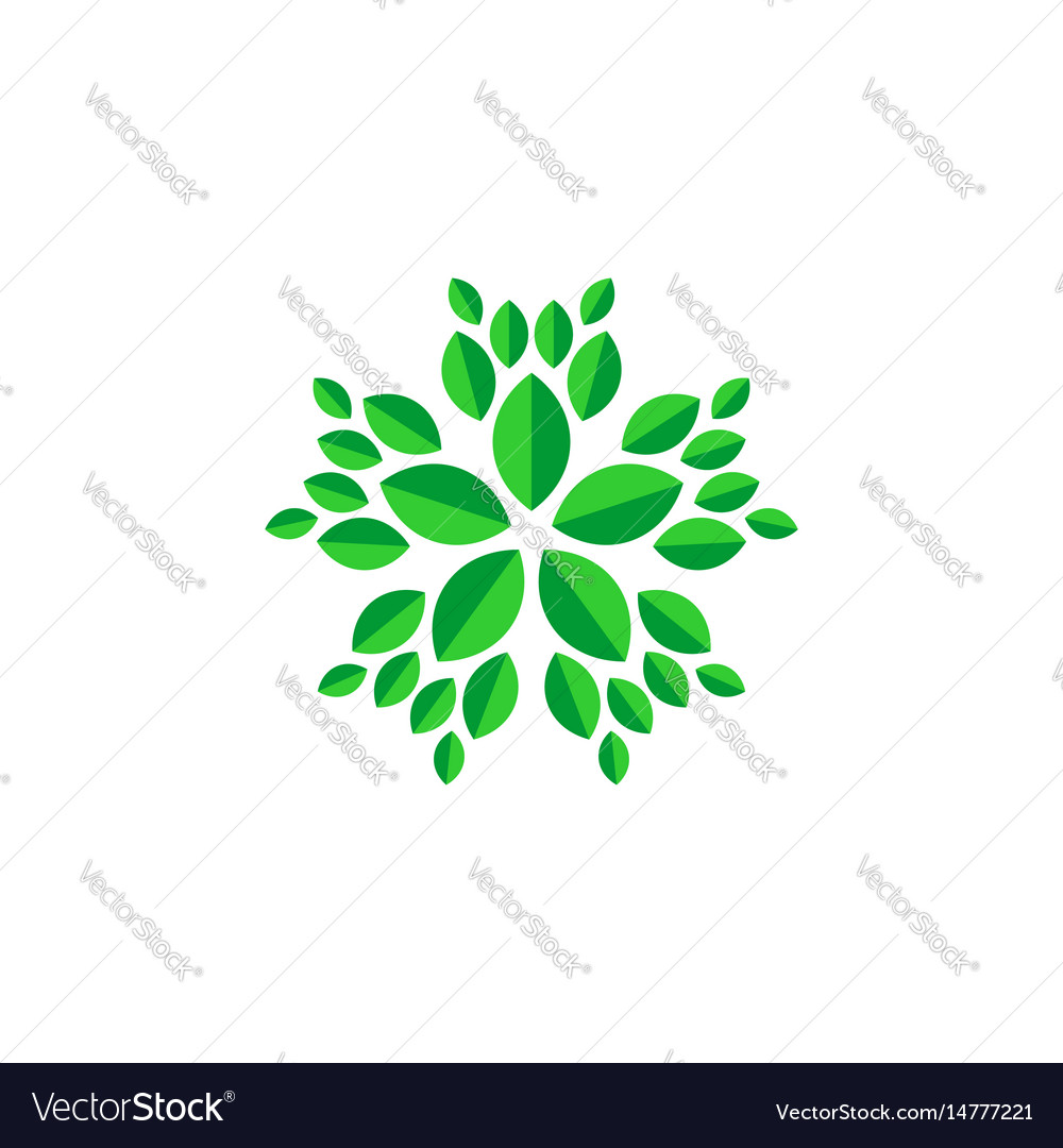 Flower leaf Royalty Free Vector Image - VectorStock