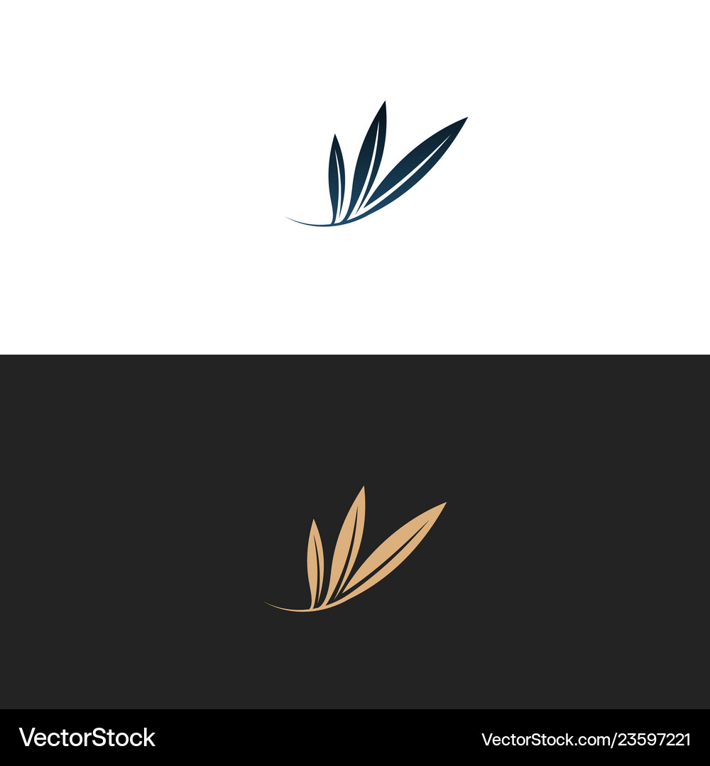 Olive Branch Logo Royalty Free Vector Image - VectorStock