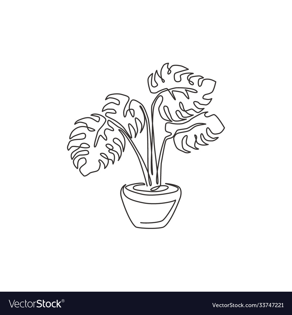 One single line drawing beauty potted tropical Vector Image