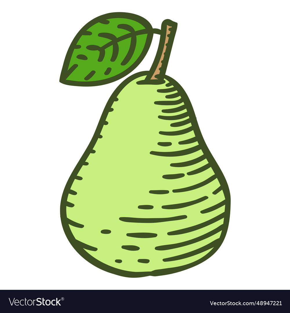 Pear ingredient color stroke Royalty Free Vector Image