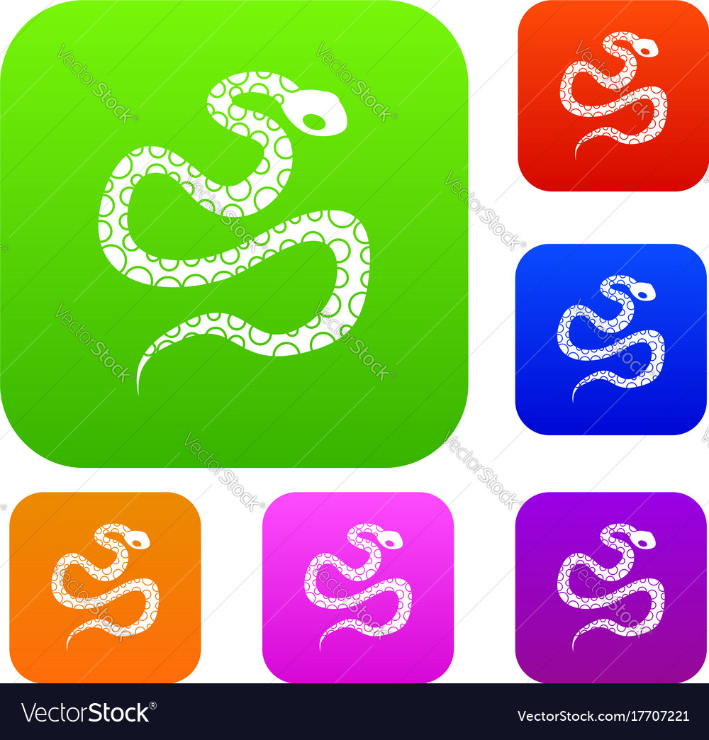 Python snake set color collection Royalty Free Vector Image