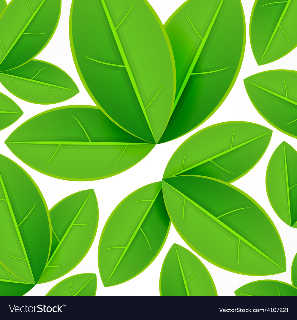 Spring pattern