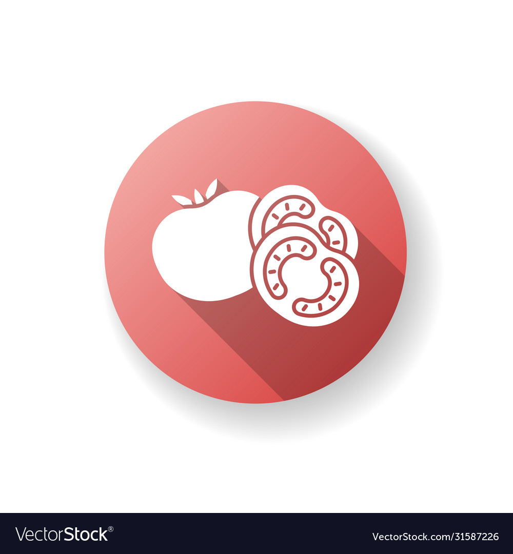 Tomato red flat design long shadow glyph icon