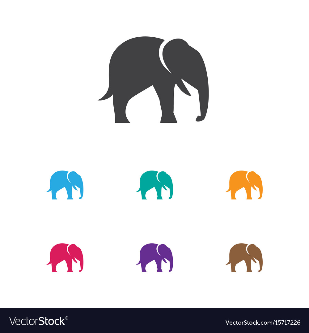 Zoo symbol on elephant icon