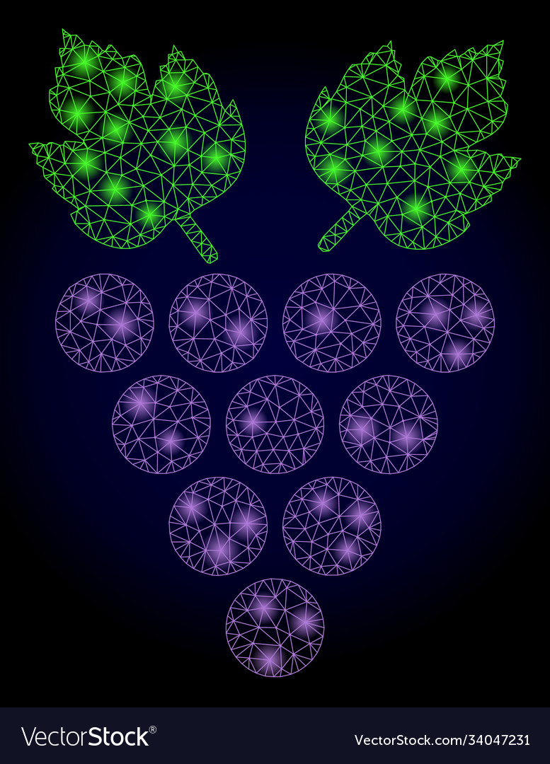 Bright polygonal net grape with lightspots vector image Bright polygonal net grape with lightspots