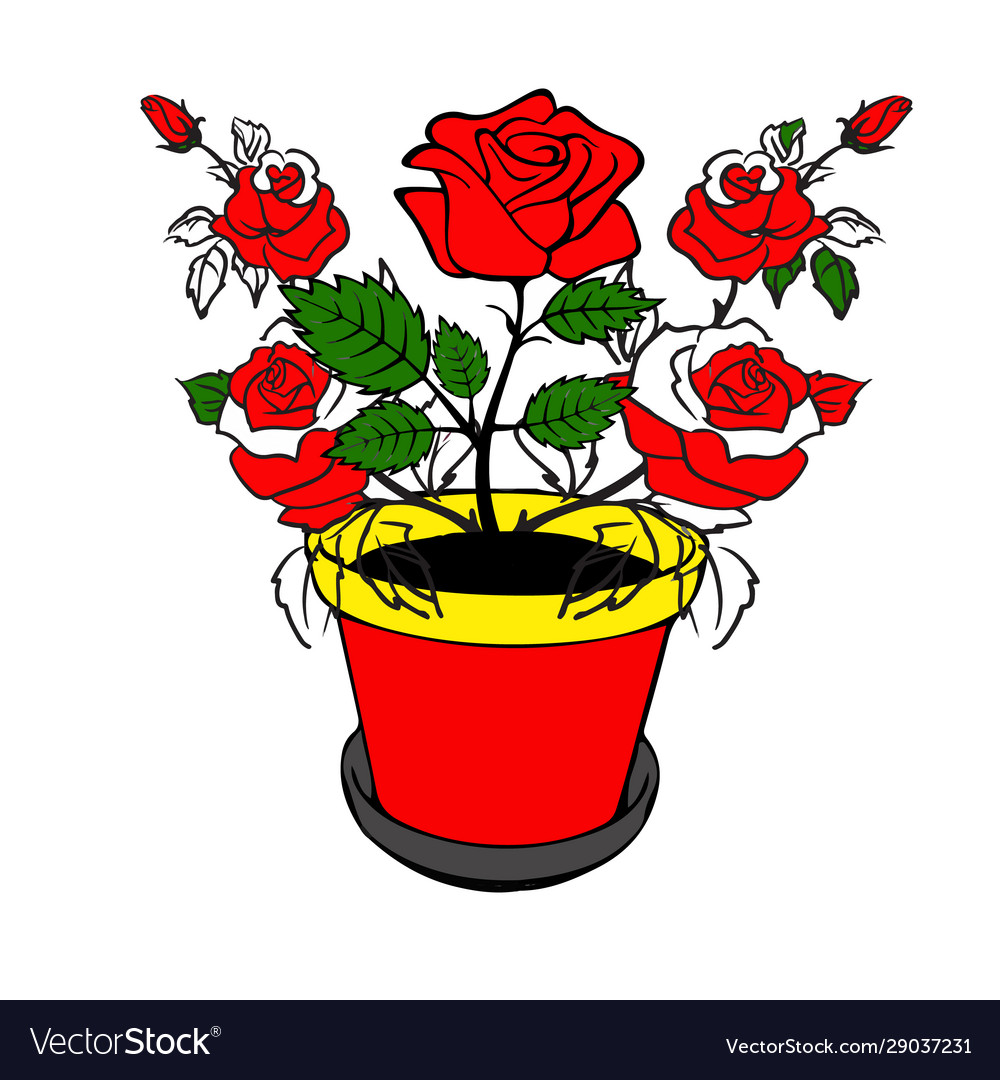 View Drawing Rose Images Gif