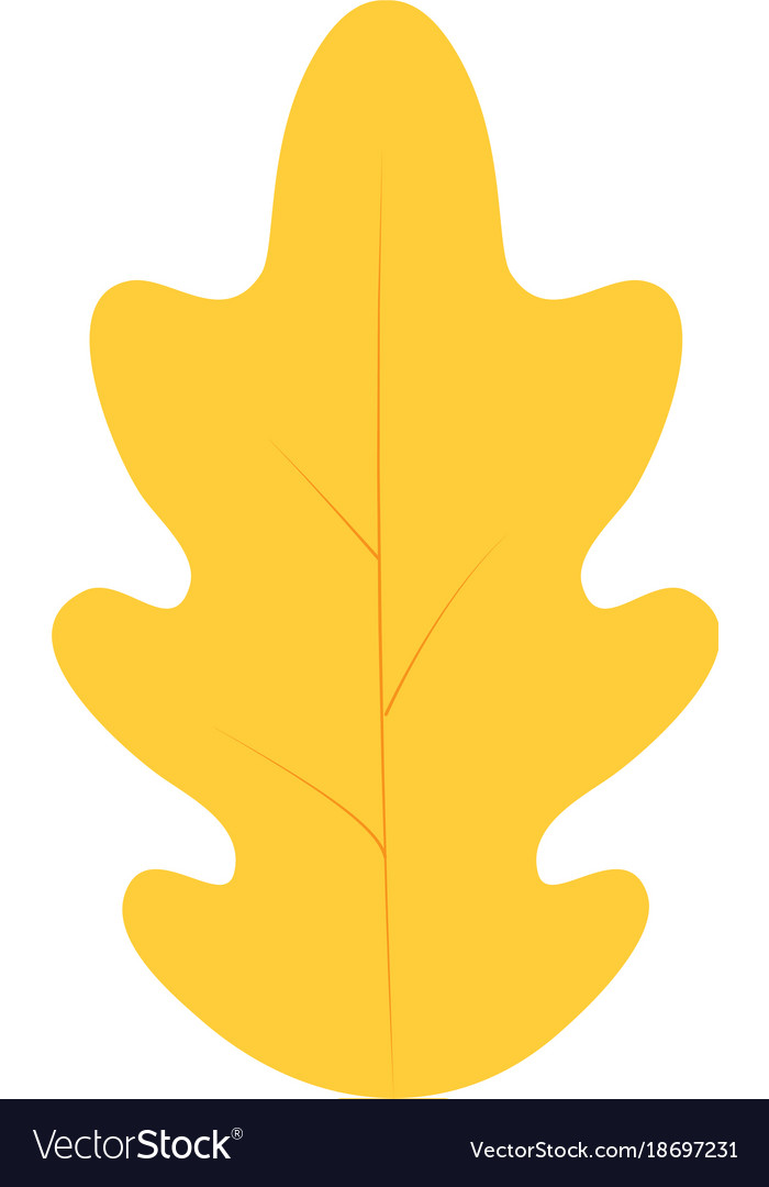 Isolated leaf design Royalty Free Vector Image