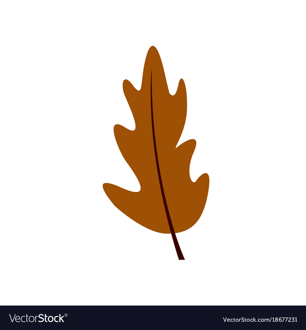 Simple brown leaf Royalty Free Vector Image - VectorStock