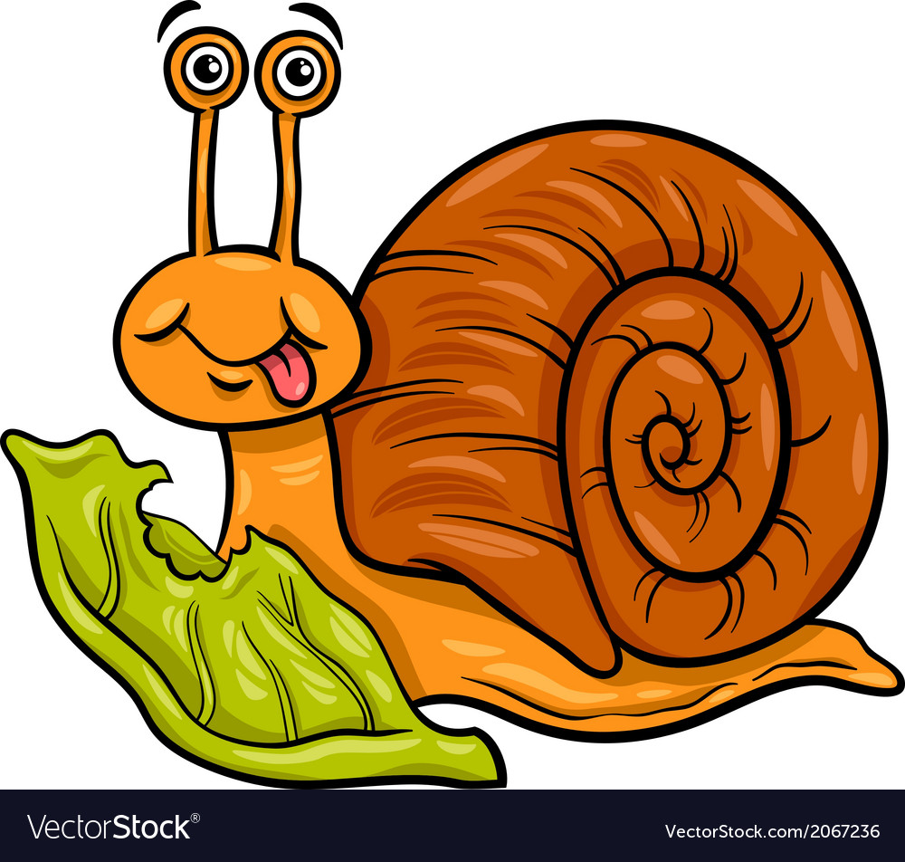 Snail and lettuce cartoon Royalty Free Vector Image