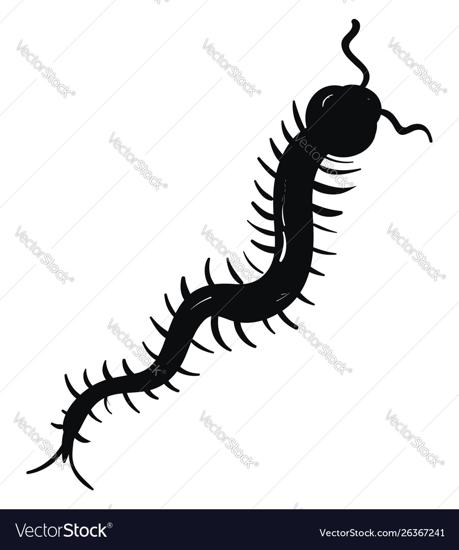 Black centipede on white background Royalty Free Vector