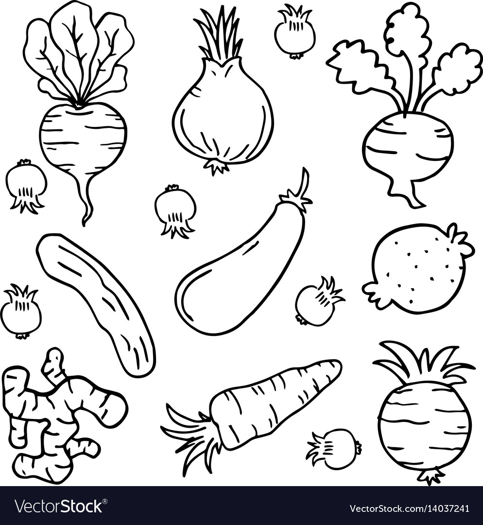 Doodle of vegetable collection object