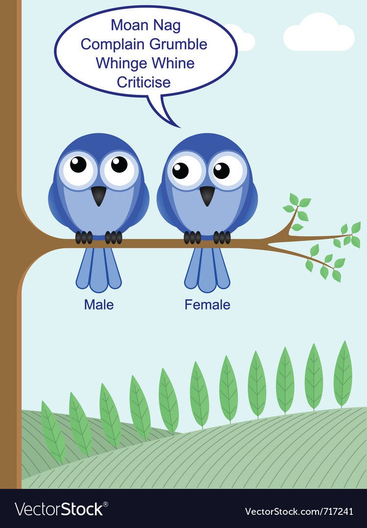 Gender of birds