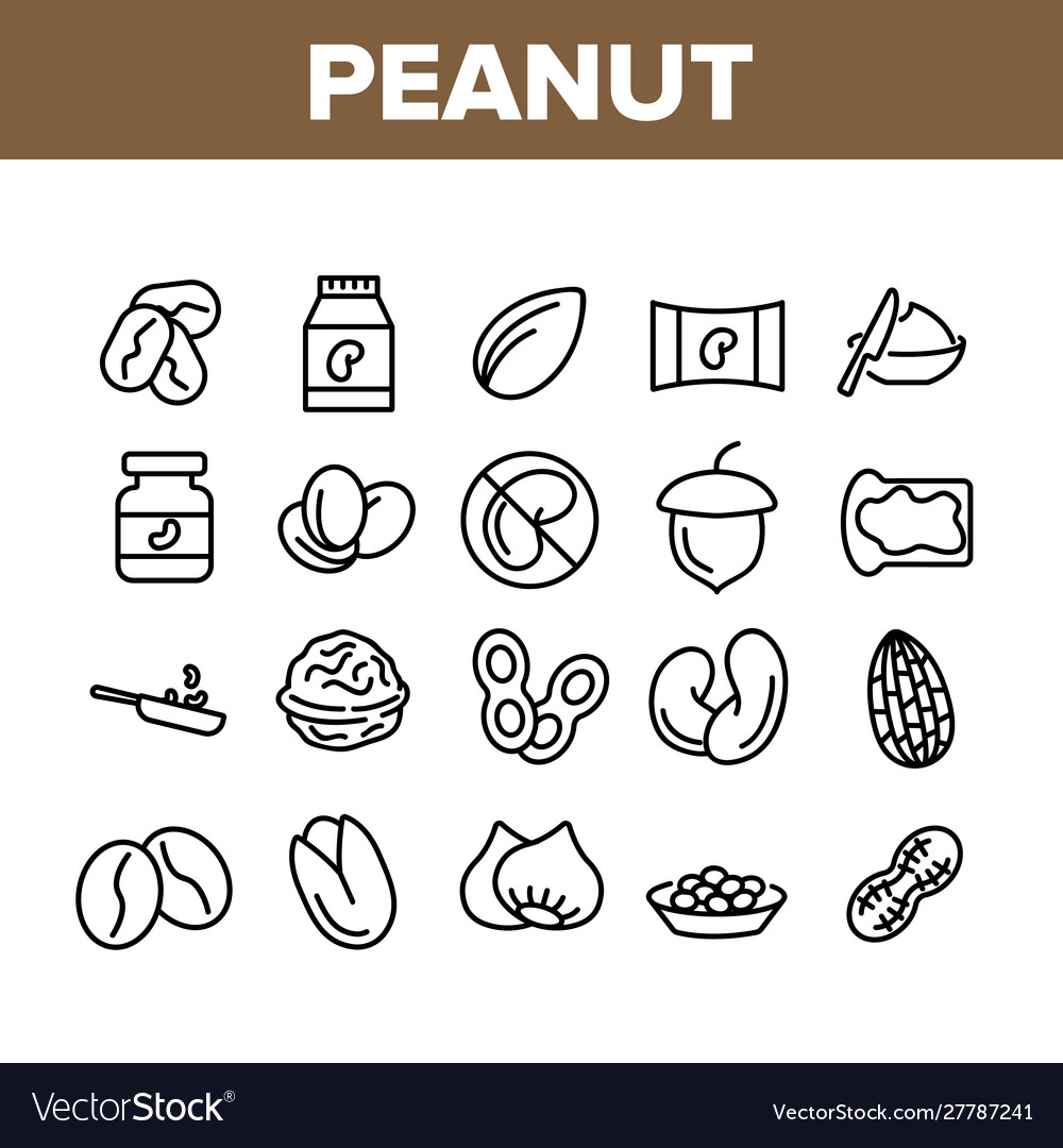 Peanut food collection elements icons set