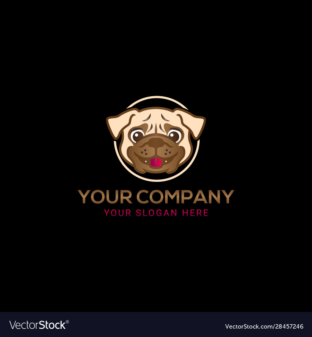 Colorful pet care logo design