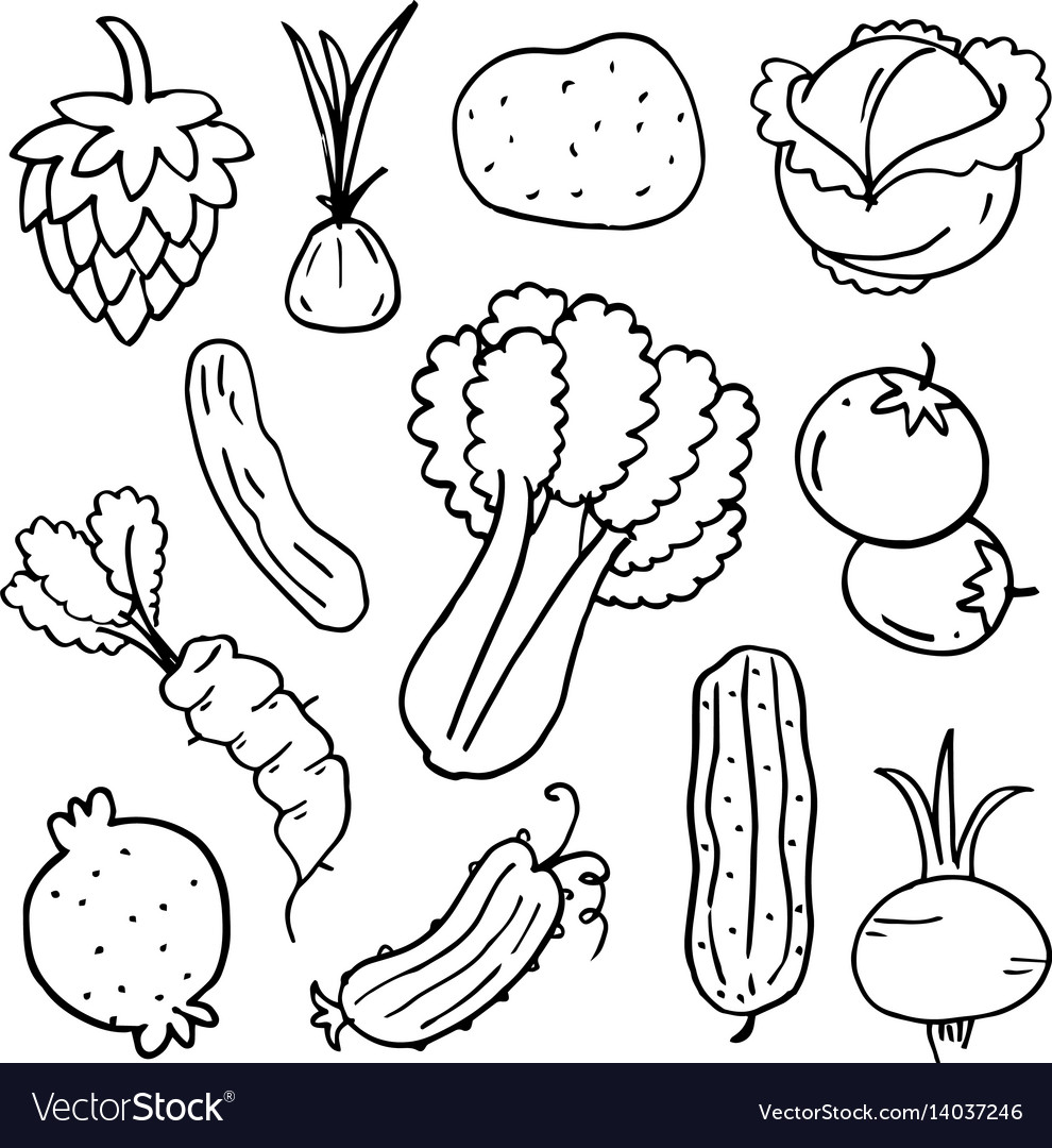 Doodle of vegetable set art Royalty Free Vector Image