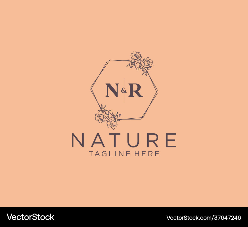 Initial nr letters floral frames botanical Vector Image