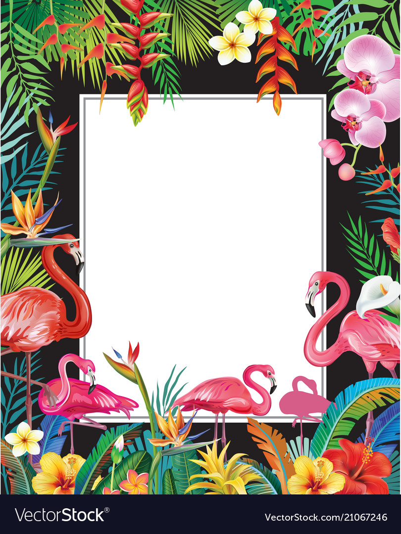 Summer party poster with flamingoes and flowers Vector Image