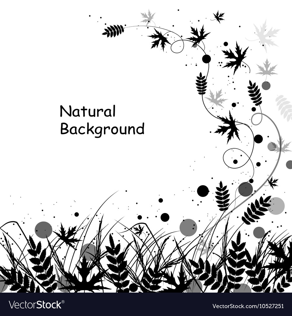Beautiful natural background Royalty Free Vector Image