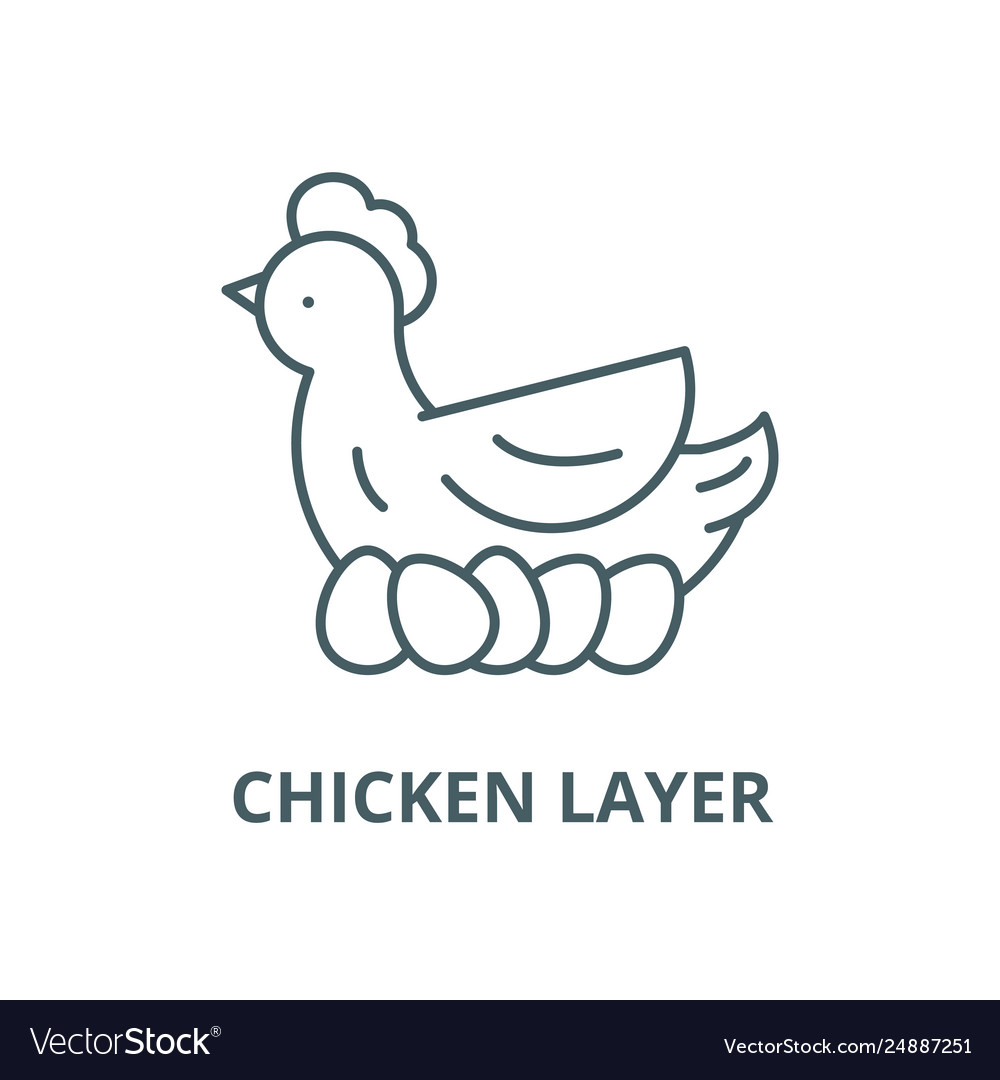 Chicken layer line icon vector image Chicken layer line icon