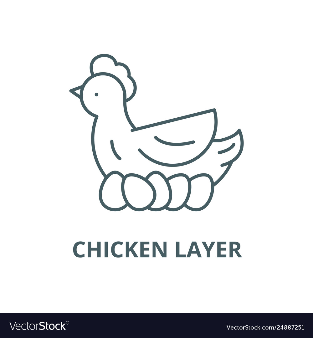 Chicken layer line icon