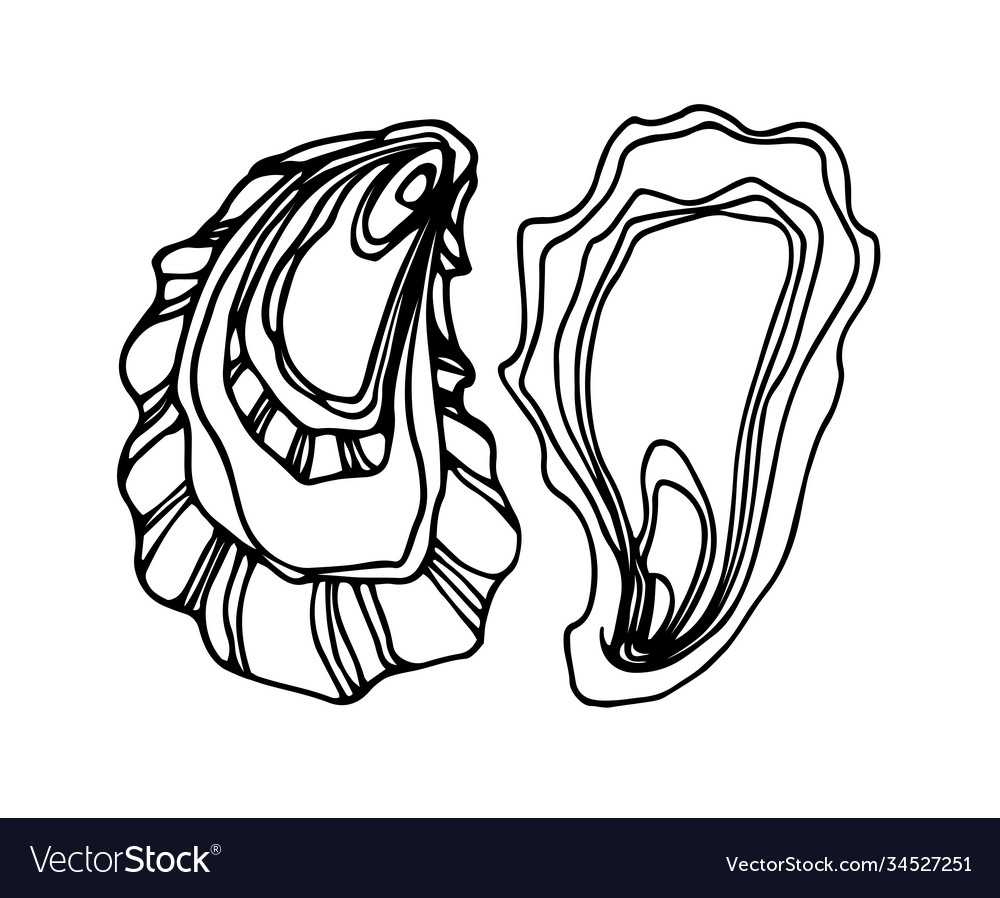 Oyster shell delicious seafood icon emblem Vector Image