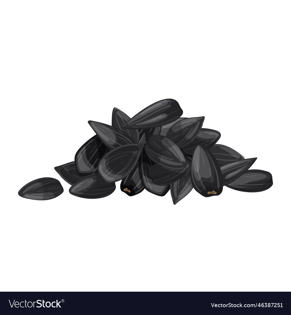 Sunflower seed pile black cartoon Royalty Free Vector Image