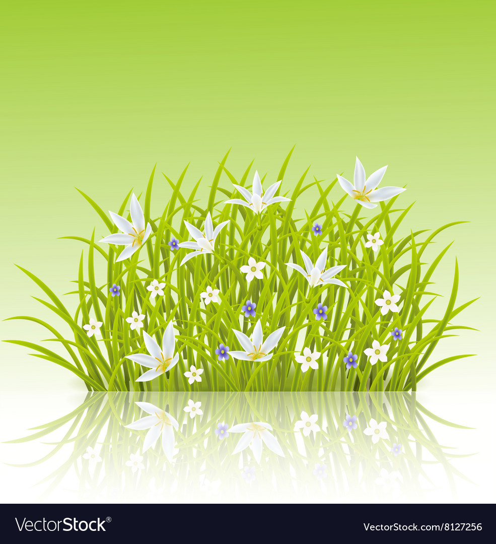 cartoon of spring grass background grass cartoon background