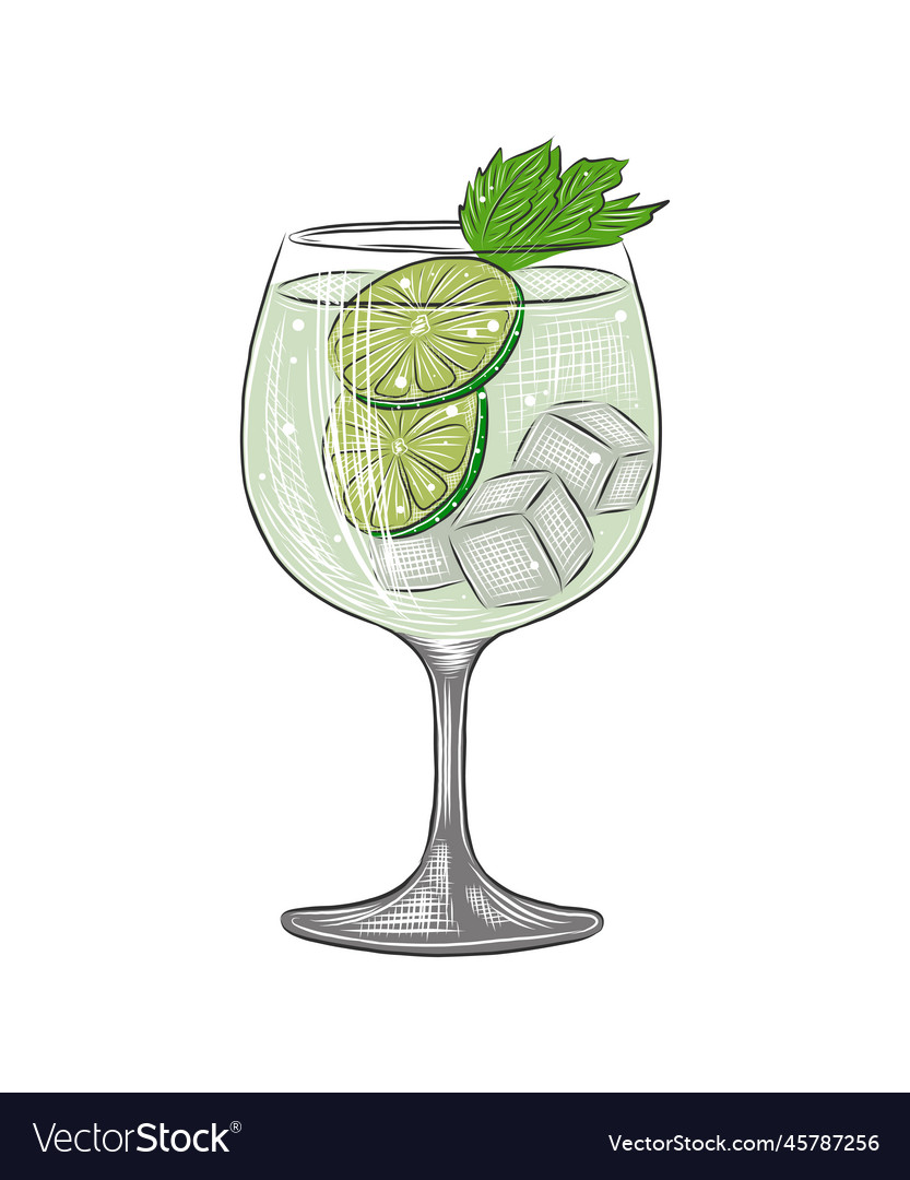 Engraved style gin tonic alcoholic cocktail