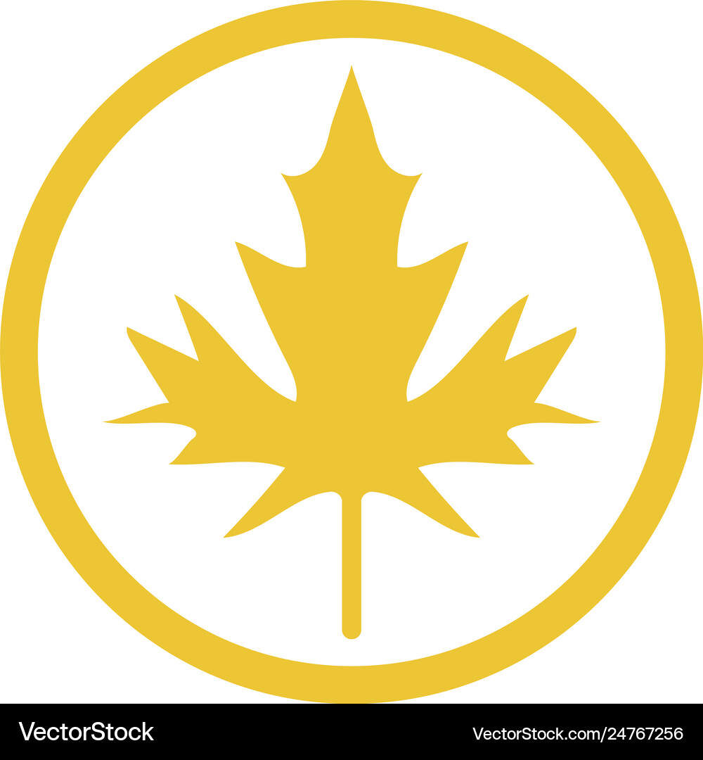 Maple leaf Royalty Free Vector Image - VectorStock