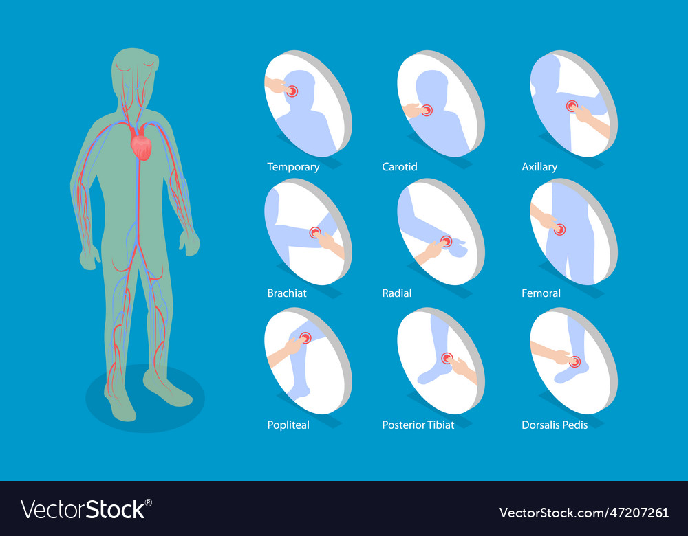 3d isometric flat conceptual Royalty Free Vector Image