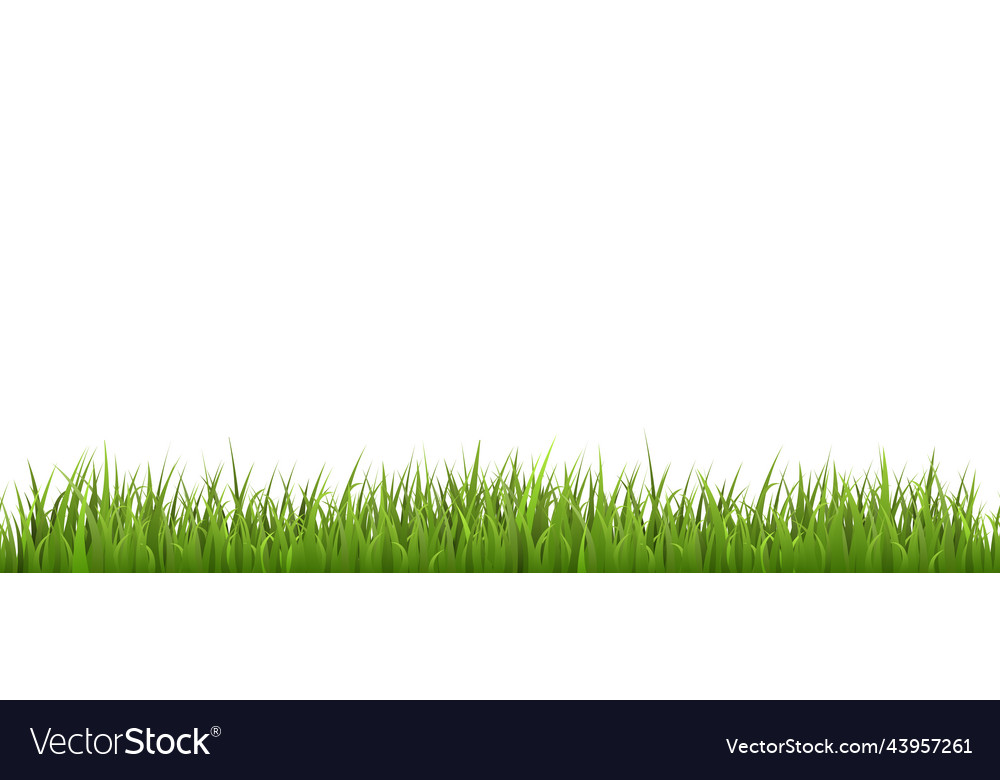 Green grass seamless border flat style Royalty Free Vector