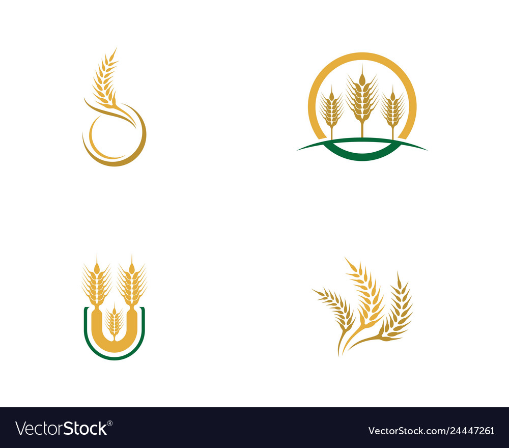 Wheat icon Royalty Free Vector Image - VectorStock