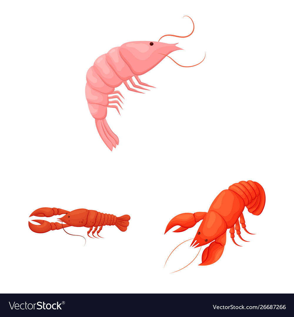 Isolated object shrimp and crab icon set