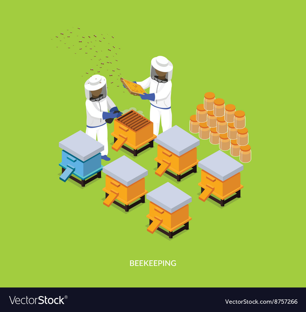 Beekeeping Isometric Flowchart Composition 4902464 Vector Art at Vecteezy