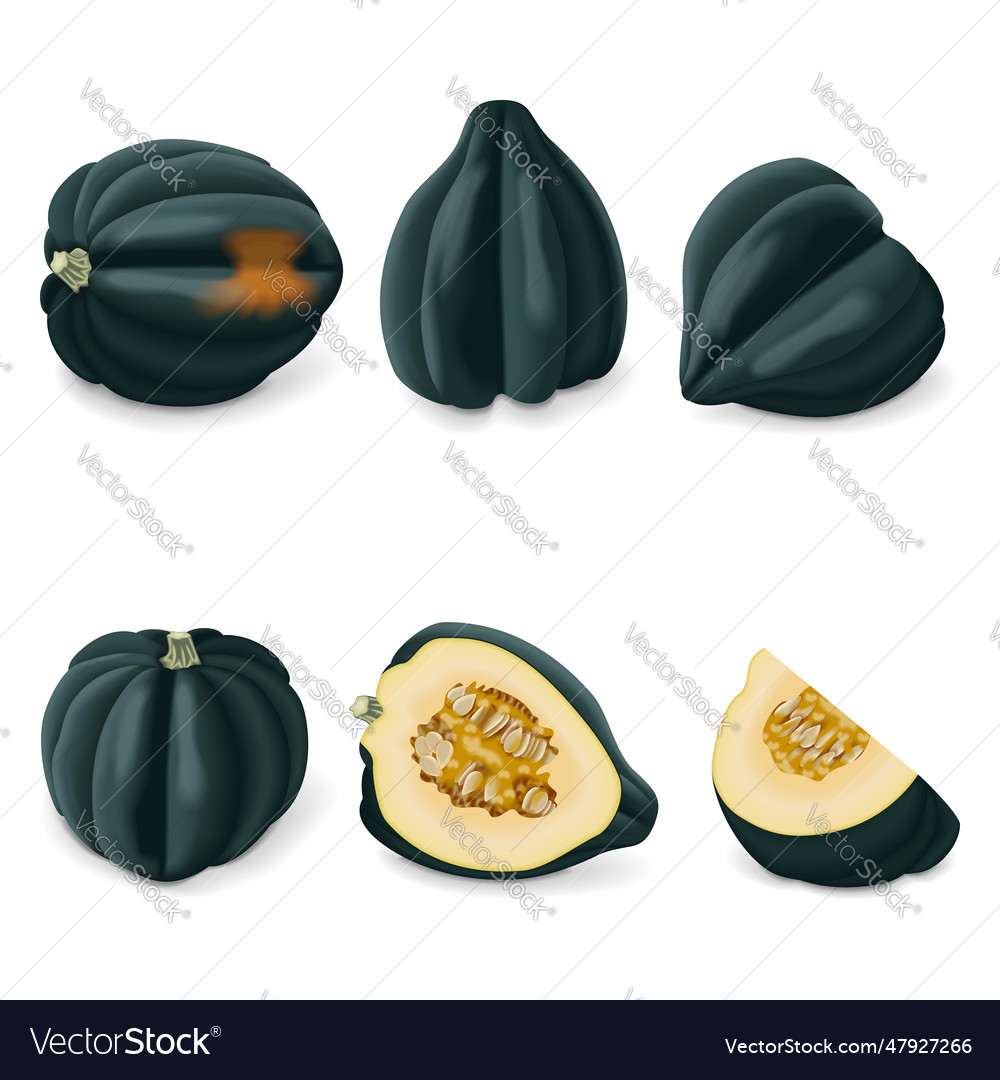 Set of acorn squash or honey bear des