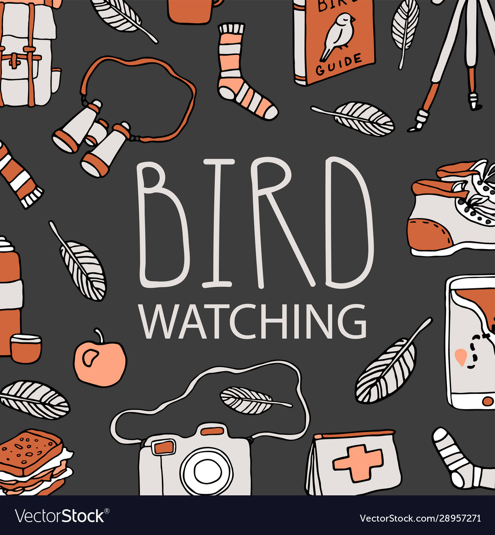 Bird watching birding and ornithology concept