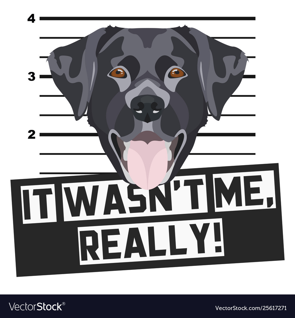 Guilty Labrador Becherhot